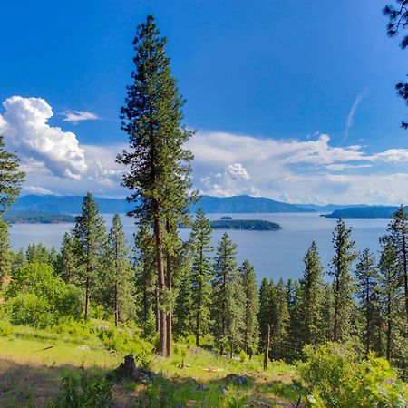 Driftwood 5 Διαμέρισμα Sandpoint Εξωτερικό φωτογραφία